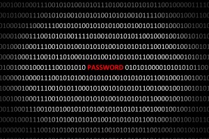 Anonymous hacker search password in binary code from cracked software